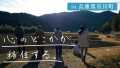 美しい棚田を未来にも【ふるさとプロボノ】in 兵庫県市川町